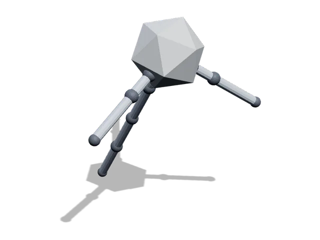 D4b, abstract space